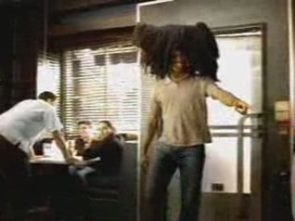 Bar interdit aux chiens