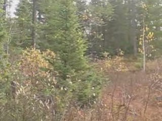 RedFaction - Némésis Rising