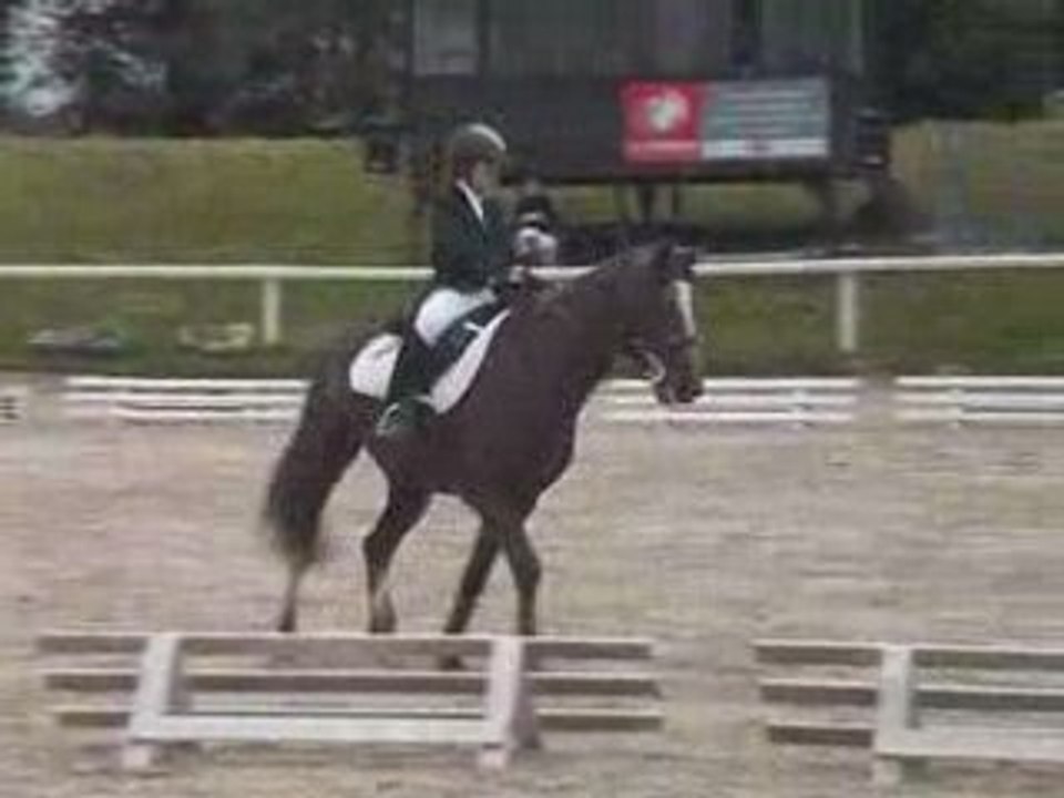 Dress margaux pegase