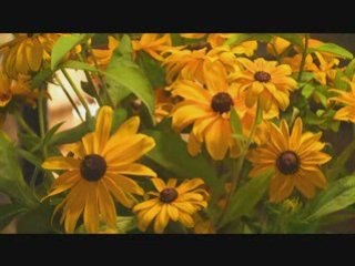 Gite  1194 Au manoir de Kervazo