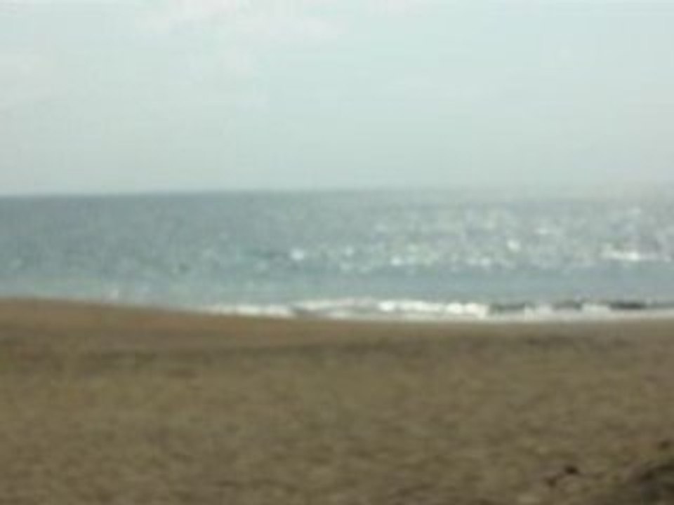 Mer de manzanillo