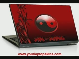 Pictures of Computer Skins
