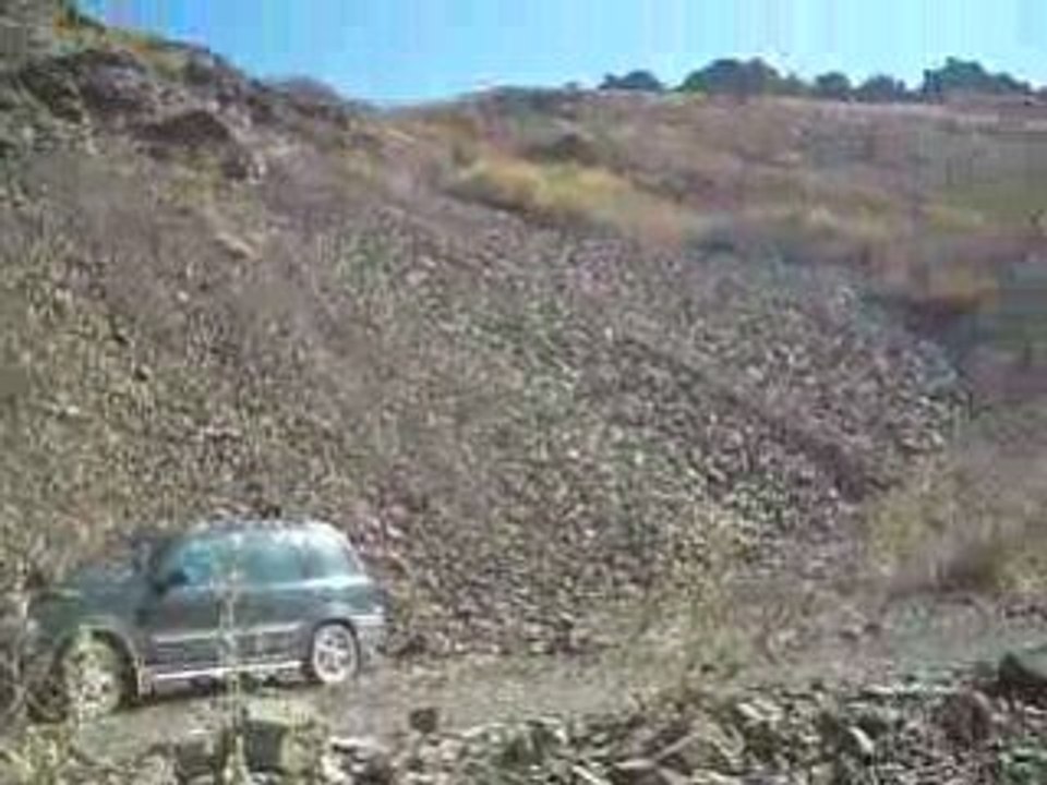 S6301966babaavcı keklik
