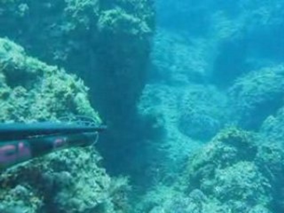 Test5
