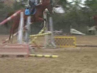 2° séance de saut de rubens