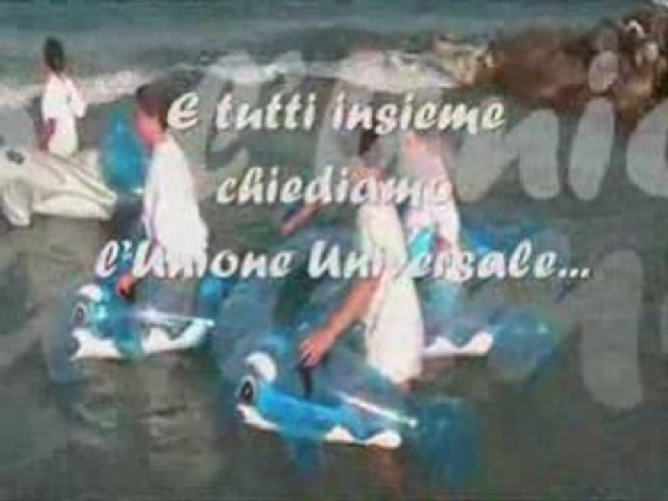 NeelSole. Il Canto del Delfino di Luce.