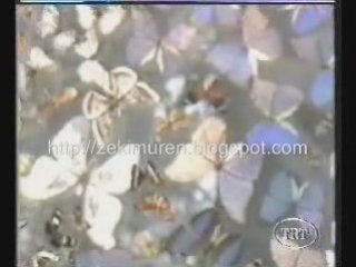 Zeki müren - beklenen şarkı