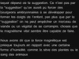 CHAPITRE VI - MAGNÉTISME ORGANIQUE ET MAGNÉTISME MINÉRAL