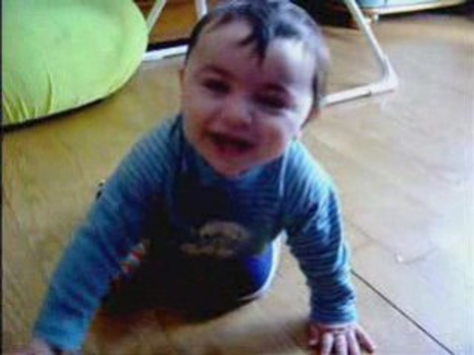Video noah