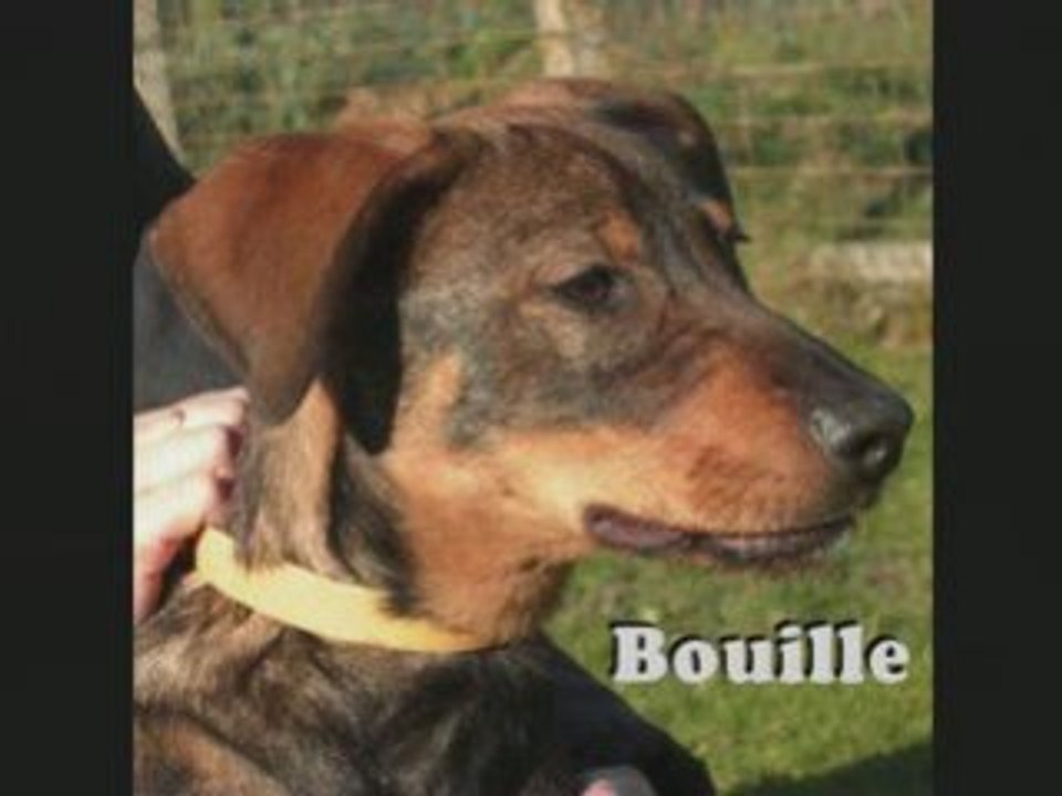 Semaine 44 2008 au refuge de Beauregard