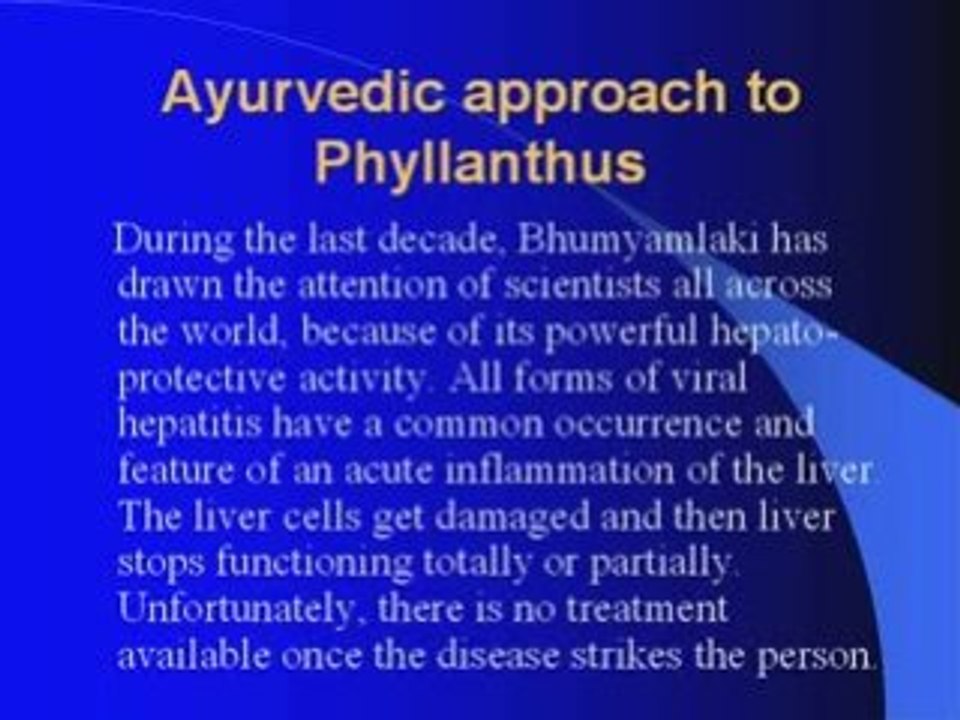 Phyllanthus niruri Benefits