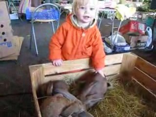 Omilia pets rabbits