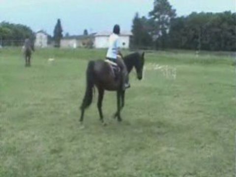 Rando-Trec Val de saône