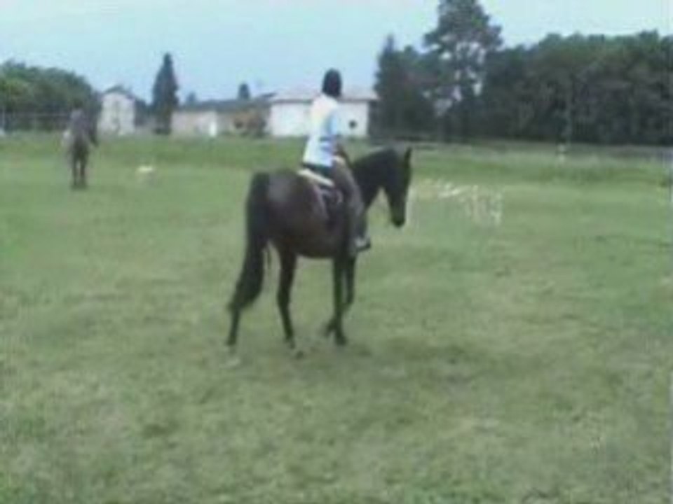 Rando-Trec Val de saône