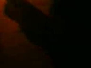 Turn off the light - Sauvons les ours polaires