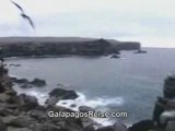 Video Galapagos Islands - Jessica Meza - Ecuador