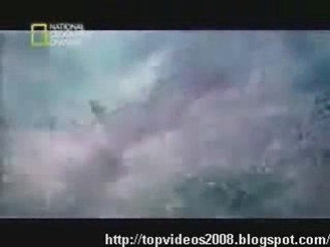 Ghost - Barcos Fantasmas y Fantasmas en los Barcos 2