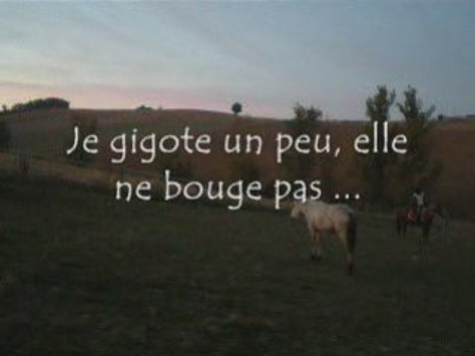 En selle le 26.10.2008