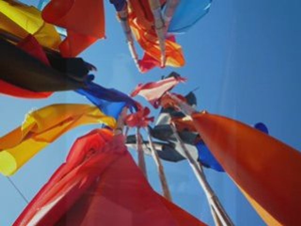 La Turballe sortie APE septembre 2008