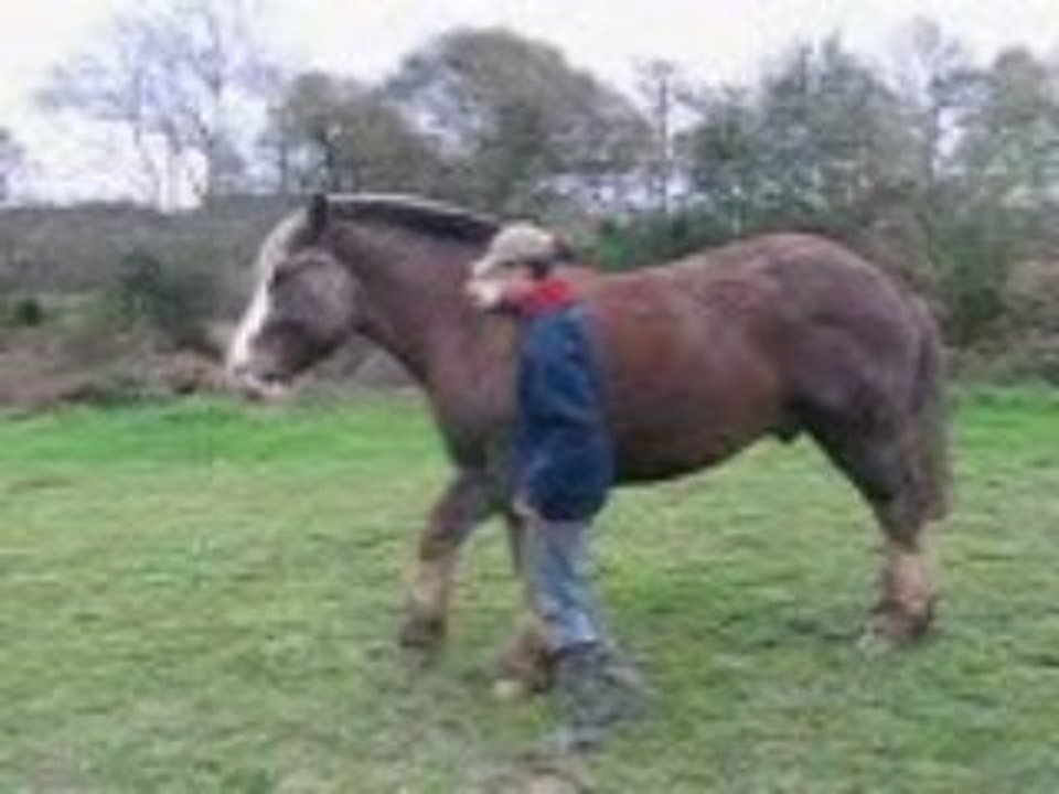Polen révérence en liberté