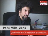 Radu Mihaileanu - Création et internet