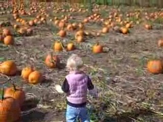 Alexis Pumpkin Picking. 2008
