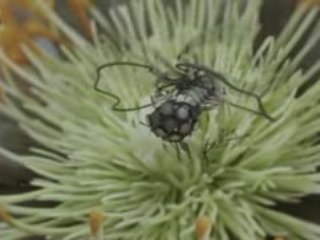 Saturn: The Evolution of Technology [Tv Ad]