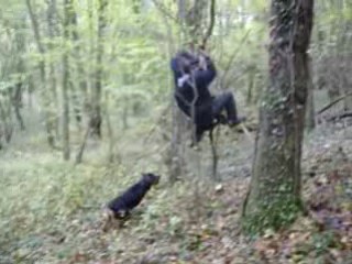 BsS & RbH Halloween party 2008 228