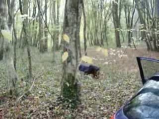 BsS & RbH Halloween party 2008 225