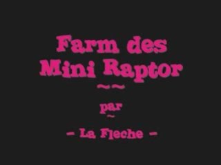 Farm Raptors