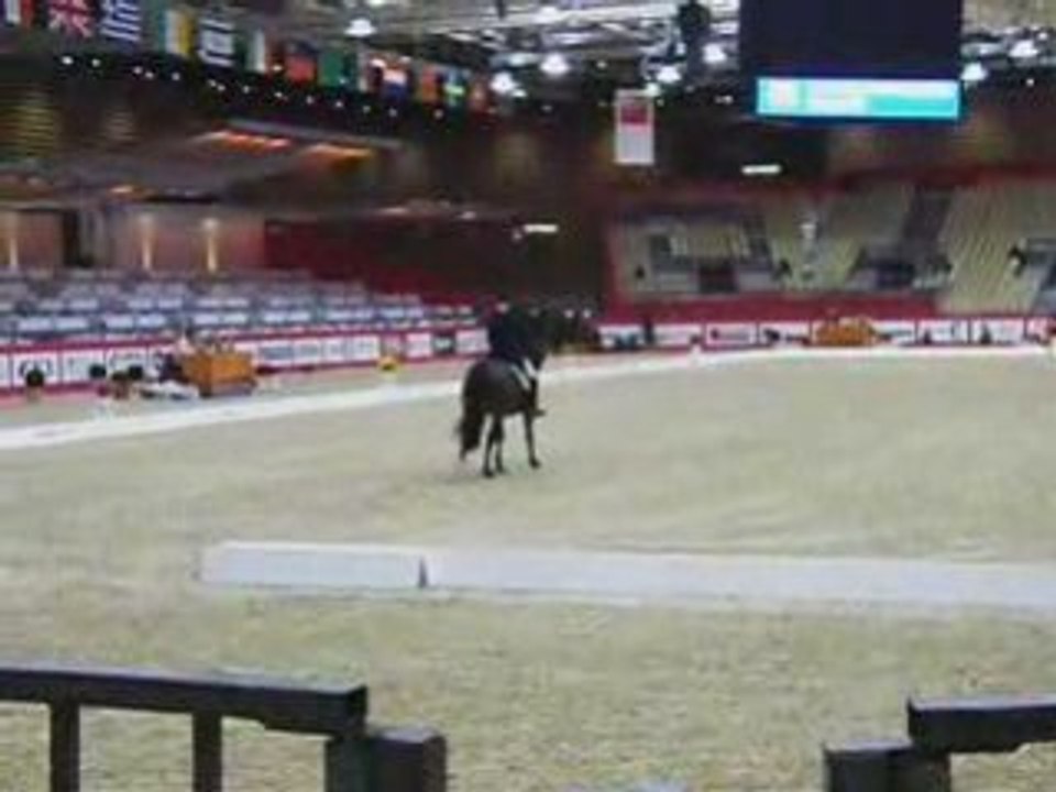 Reprise dressage  le salut