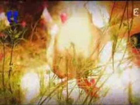 Oui, on peut recoller les pots cassés (1-3)