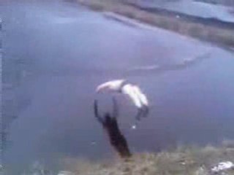 Plongeon dans un lac gelé ptdr..