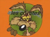 les coyotes burn au bol d'or 2008 moto stunt rupteur burn