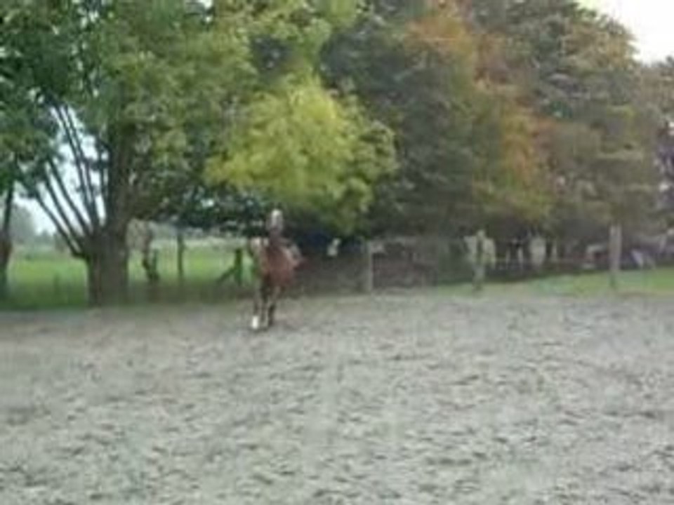 Saut en liberte