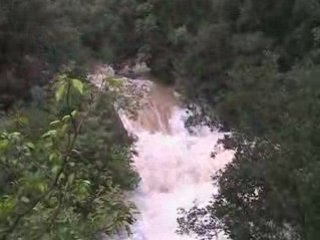 Ragas, crue du 04/11/2008