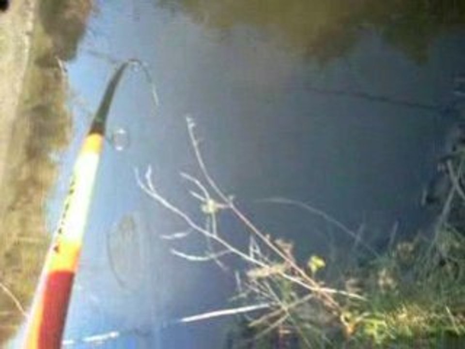 suit de la peche avc mik