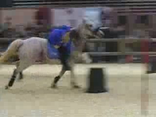 Equita'Lyon 2008 Pony Games