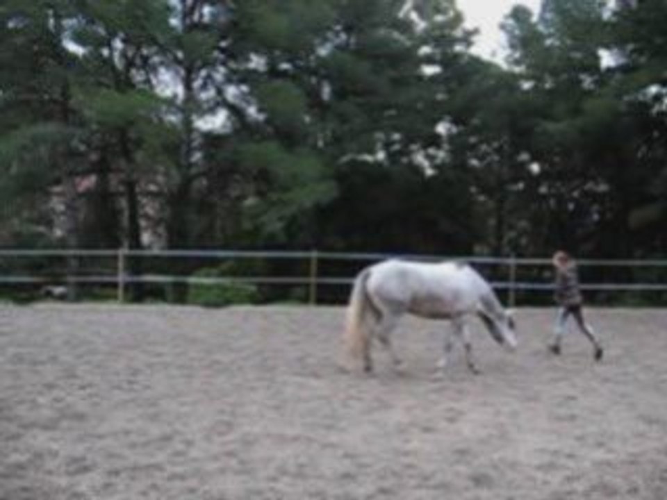 Pirouettes