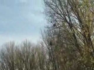 Compy 300 FP BD 04.11.2008 de retour aprés le crash 1