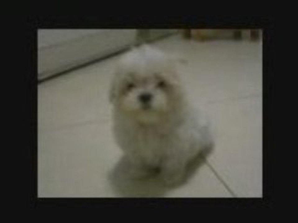 Billy 2008