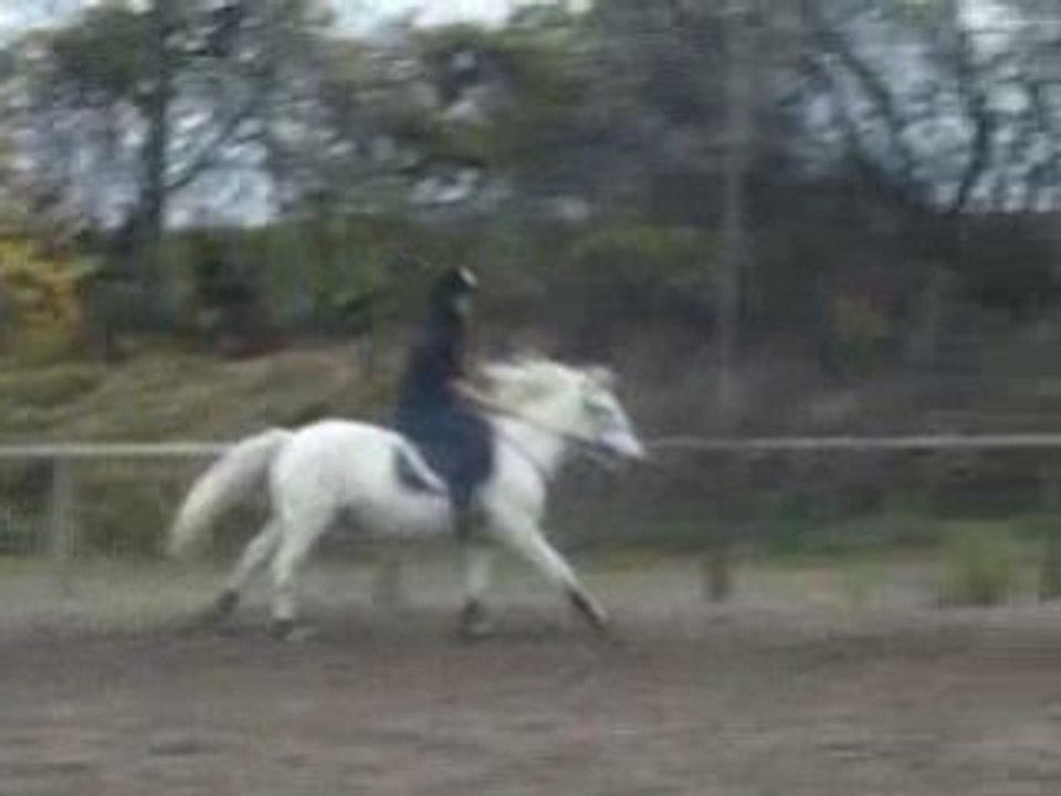GALOP A MAIN DROITE PUIS ARRET.