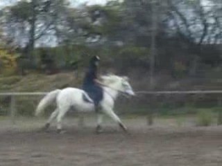 GALOP A MAIN DROITE PUIS ARRET.