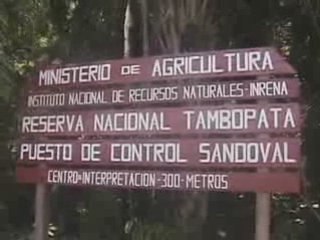 Amazonie péruvienne