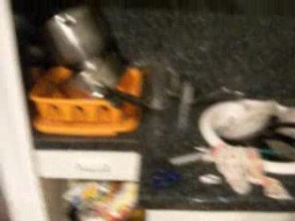 Visite Guidee Simon Darren