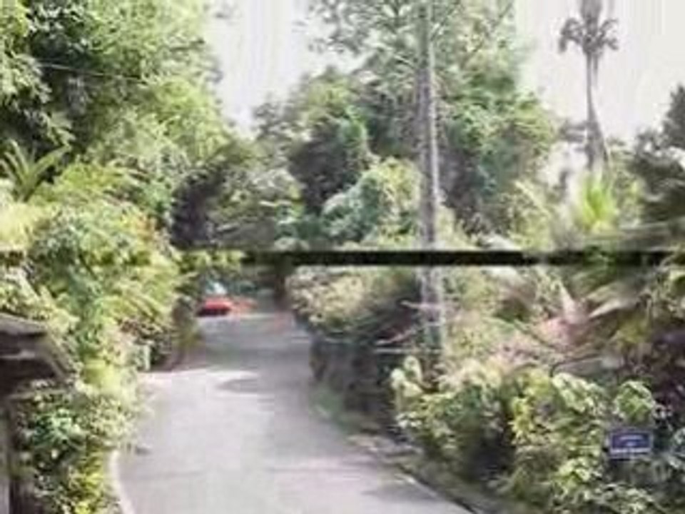 Spéciale gros morne dolé_0001