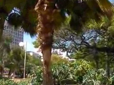 La Place des cocotiers, Nouméa, Nouvelle-Calédonie