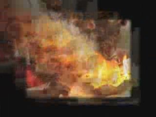 Celina Will Skip 'GOLMAL RETURNS' Premiere