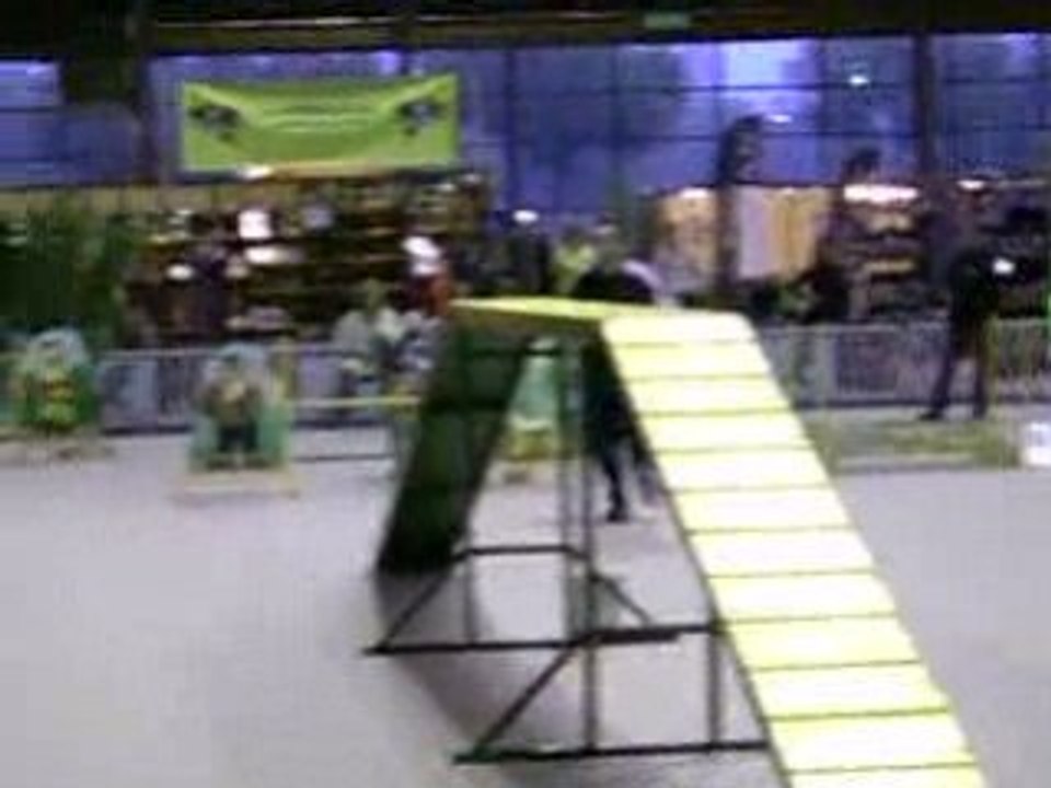 Clip0002