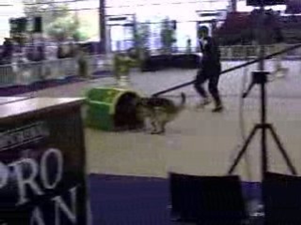Clip0014